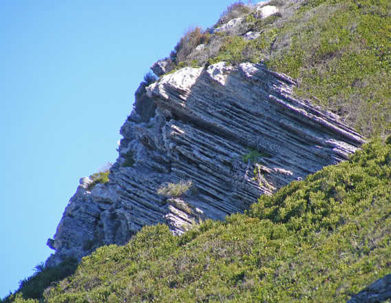 The Sandveld Group’s Langebaan Formation The youngest rock type is aeolianites (dune-rocks, sand grains of quartz and shell fragments, cemented with calcite) which were deposited, about 200 000 years ago, by summer southeasterly winds. These limestones can be seen at Bordjiesdrif and Dias Beach.