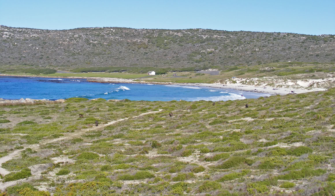 Buffels Bay has been home to many peoples for thousands of years.