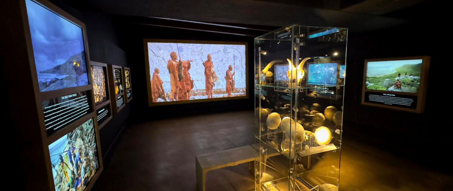 The Origins of Early Southern Sapiens Behaviour exhibition is found at the Buffelsfontein Visitors Centre. The exhibition showcases remarkable discoveries from SapienCE main excavation sites augmented by Sea Change Project contribution.